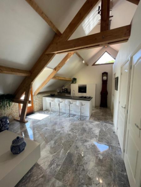Le ROSSIGNOL APPARTEMENT MET AIRCO & PRIVE TERRAS
